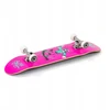 Enuff Skateboards Riedlentė Enuff Skully Complete Rožinė 78.7 cm