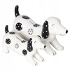 Ewax Skarbonka Jamnik ceramiczny baltai-juodas 19x10cm