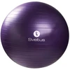 Schreuders Sport Fitneso rinkinys AVENTIO 41VE red
