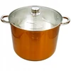 Florentyna Puodas nierdzewny NOBILE Auksinė 28 cm 12,5 l