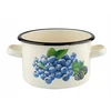 Florina Puodas emaliowany Emalia Pleszew Borówka 16 cm 2L smėlio spalva na indukcję