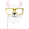 Fotosesijos rekvizitai PartyDeco 5vnt. Llama