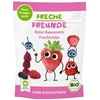 Freche Freunde ŠALČIUOSE DŽIOVINTOS UOGŲ VAISIAI VAIKAMS, BE GLITIMO, EKOLOGIŠKI 10 g -