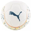 Futbolo kamuolys Puma, 1 dydis