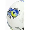 Futbolo kamuolys Puma Orbita 5 HYB Lite 290