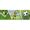 Futbolo vartai Zolta, 213x150x90 cm