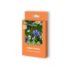 Gėlių ir žolių mišinio sėklos FALLOW FLOWERS, 45 g