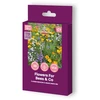 Gėlių ir žolių mišinio sėklos FLOWERS FROM NATURE, 45 g