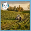 Gerber Junior Delicate žiedinių kopūstų ir brokolių sriuba 1-3 metai 250 g