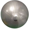 Gimnast. kamuolys 65cm TOORX AHF-012 su pompa