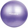 Gimnast. kamuolys 75cm TOORX AHF-013 +pompa