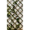 Gl Plastic Grotelės vijokliniams augalams W90cm H1.8m rudos/medinės