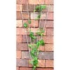 Gl Plastic Trikampio formos grotelės vijokliniams augalams W43cm H90cm baltos/metalinės/PE