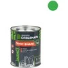 Bikuvalt Grunt-emalė DNIPRO 3 Viename Žalia 0.9kg