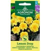 Gvazdikinių serenčių LEMON DROP sėklos, 0,4 g