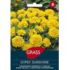 Gvazdikinių serenčių sėklos GYPSY SUNSHINE, 0,4 g
