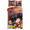 Halantex Vaikščių patalynė 140x200 Dragon Ball, 70x90 užvalkalas