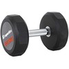 Hantelis inSPORTline Profi CPU 22.5kg