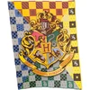 HARRY POTTER HIT SCHOOL LAYETTE RINKINYS PIRMAMS KLASEI 12 vnt.