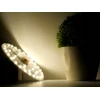 Hellux Fiore Led lubinė lemputė, žalia