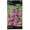 Hibridinių monardų sėklos Delux Garden 0.1g Bergamo