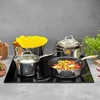 INDUKCINIS PUODAS, plieno, SU dangteliu, mažas plieno, dujinis, Starke Pro Sintesi, 2,1 l