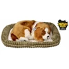 Interaktyvus šuo Perfect Petzzz Cavalier King Charles šuniukas