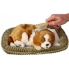 Interaktyvus šuo Perfect Petzzz Cavalier King Charles šuniukas
