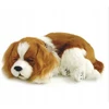 Interaktyvus šuo Perfect Petzzz Cavalier King Charles šuniukas