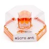 Interaktyvus žaislas Micro Ant Hexbug 3+ m.