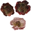 Nežinomas Artificial flower Decoris Magnolia. 26 cm x 26 cm