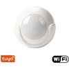 Išmanusis judesio daviklis Feelspot FS-PR01W Wifi, Tuya