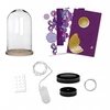 Janod kūrybinis rinkinys Lempa Secret garden Fairies Magic Fairies 7+