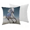 Jerry Fabrics POSZEWKA NA PODUSZKĘ KOŃ KONIE 40X40 DZIECKA DZIECIĘCA + PODUSZKA 40X40