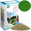 Jis Suburia Specialistus WINSTON GRASS žolės sėklos VEJAI 20 kg