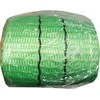 Juostinis stropas Balt Load 2t/3m