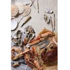 Jūros gėrybių rinkinys „Vinga Story of Seafood“.