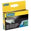 Kabės „Rapid" 140/6 2000 vnt