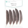 Dallprint Plunksnos kalakuto 10-15cm 30vnt