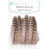 Dallprint Plunksnos kalakuto 10-15cm 30vnt