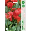 Kalijų svogūnėlis, lot. ZANTEDESCHIA Raudonas ALERT, 1 vnt.