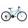 Kalnų dviratis/nesurinktas BOTTARI 24'' ratai