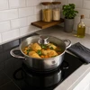 Karl Hausmann INDUKCINĖS DUJINĖS 5,2L 28cm nerūdijančio plieno indukcinis PUODAS SU MAŽAI KIETUS DANGIU