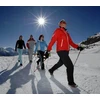 Karwil Sulankstomi trekingo lazdelės Nordic Walking, 2 vnt.