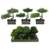 POLNIX Keraminis vazonas BONSAI, juodos sp., 19 x 13 cm