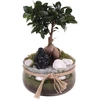 POLNIX Keraminis vazonas BONSAI, juodos sp., 19 x 13 cm