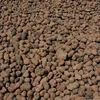 Keramzitas 5L sodininkystei 8-16mm Biovita