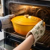 Ketaus keptuvė emaliuota žąsų viryklė indukcinės dujos HAGE 6L garstyčios