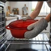Ketaus keptuvė žąsų viryklė emaliuota HAGE 6L raudonų dujų indukcinė orkaitė