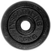 Ketaus svarmenų plokštelė inSPORTline CastCzech 0,5kg 30 mm